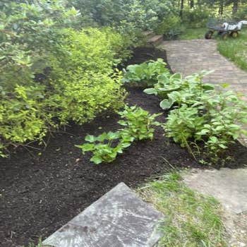 Griffins Landscaping - Westchester County Ny