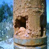 Iron Bacteria Clogging a Pump