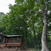 Flores Tree Services General & Landscaping