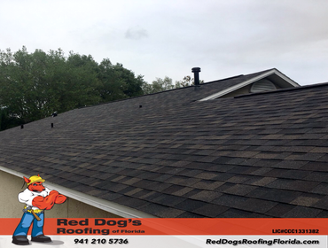 Photos by Red dog's Roofing of Florida #1