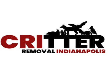 Photos by Critter Removal Indianapolis #1