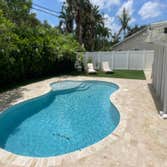 Big Dogs Artificial Turf
