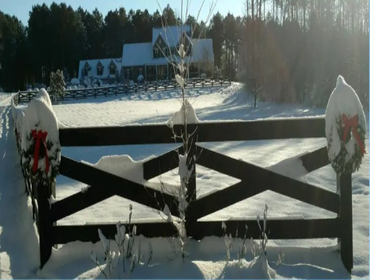 Fences
