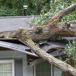 Chappelle Roofing LLC