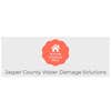 Jasper County Water Damage Solutions logo