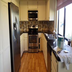 Photos from David's West Coast Painting