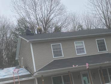 Photos by Big Al's Roofing #1