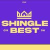 Shingle Best logo