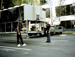 Photos by Murphy's Environmental Control #1