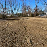 Photos by Moro Landscaping & Tree Services LLC #2