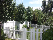 Fences
