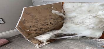 Prorestoration Services Inc