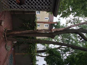 Tree Service South Jersey
