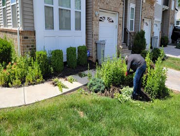 Photos by Hernandez Lawn Care & Landscaping LLC #9