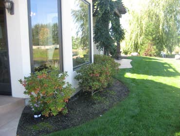 Photos from Natural Lawns and Landscape