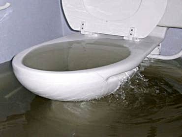 JBL Drains Gallery