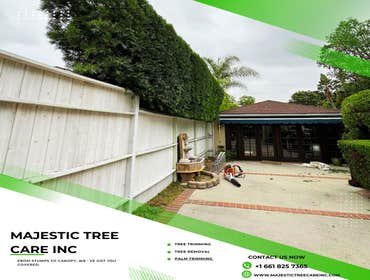 Photos by Majestic Tree Care Inc #8
