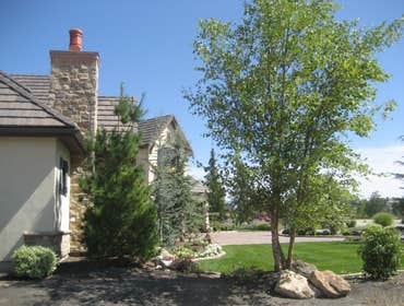 Photos from Natural Lawns and Landscape
