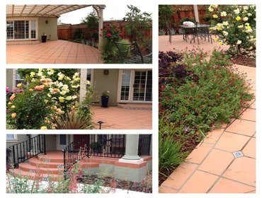 Photos by Cyprex Construction Landscapes #1