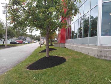 Photos by Acosta Landscaping LLC #20