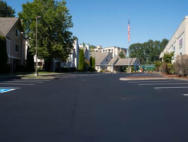 Photos by Transblue Sudbury #1