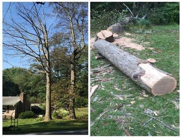 Photo(s) from Dlp Construction, LLC