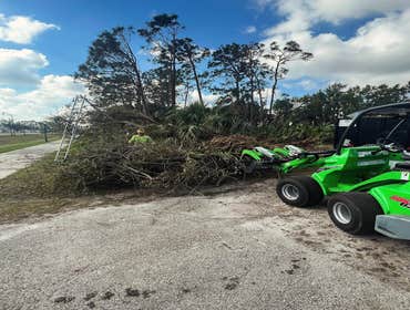 Photos by Arbobella Tree Service #1