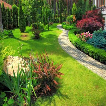 Expert Landscape In Sarasota
