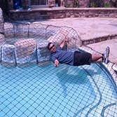 Pool Nets