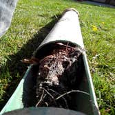 Root Intrusion