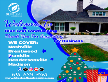 Photos by Blue Leaf Landscaping #10