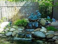 Photos by the Pond Pros of Southern California Advanced Pond Pro Inc #1
