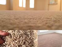 Photos from Carpet Floorida