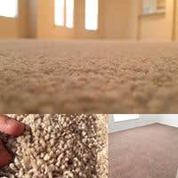 Photos from Carpet Floorida