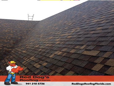 Photos by Red dog's Roofing of Florida #1