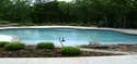 Free Form Pools by Blue Haven Pools