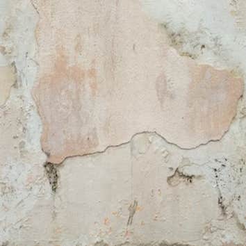 Mold Removal Orem Solutions
