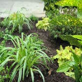 Photos by Nyc Tree Pit Services #1