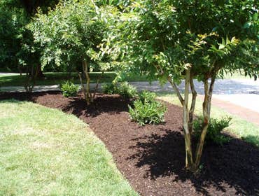 Custom Landscape Services Gallery At Custom Landscape Services we are Changing the Face of the Earth one Landscape at a Time!
We are proud of the wor