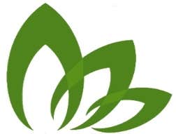 Projects by Landscape Update Company Houston Residential Design | Updating Installation