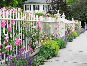 Fences