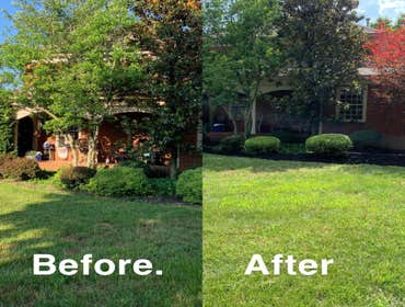Photos by Prestige Lawn Care LLC #1