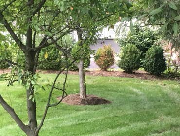 Photos by Rojas Construction and Landscaping #2