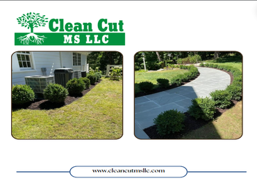 Photos by Clean Cut Ms LLC #5