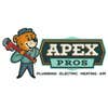 Apex Pros Plumbing, Electrical, Heating and Air logo