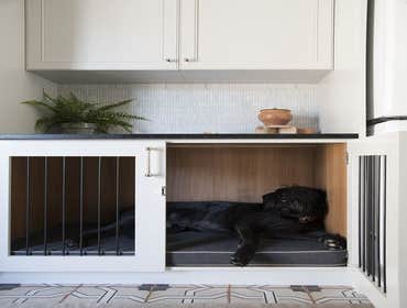 Canine Dog Beds, Dog Runs, Doggy Doors
