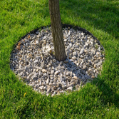 Julio Sierra Tree Service