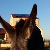 Photos by Cr Solar #1