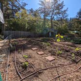 Photos by Tuyub Landscaping #3