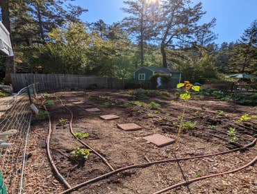 Photos by Tuyub Landscaping #3